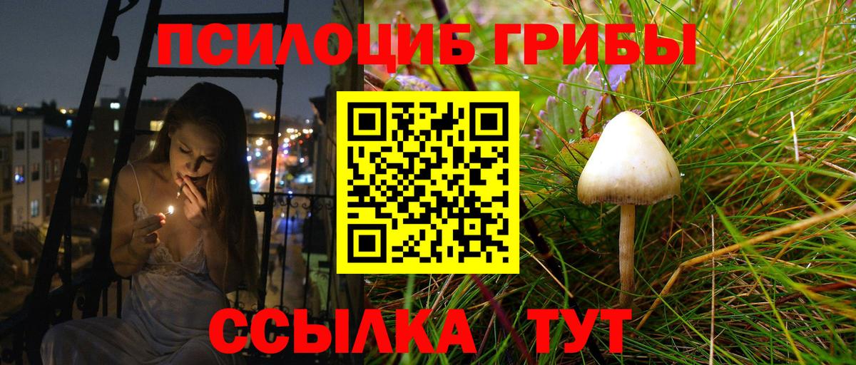 Псилоцибиновые грибы мицелий  Галлюциногенные грибы MAGIC MUSHROOMS  Вход с VPN  Кизляр 