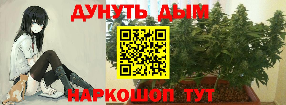Бошки марихуана план Кизляр